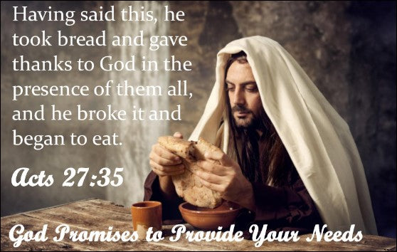 PROVISION PROMISE-2-PROVIDE YOU FOOD AND SHELTER