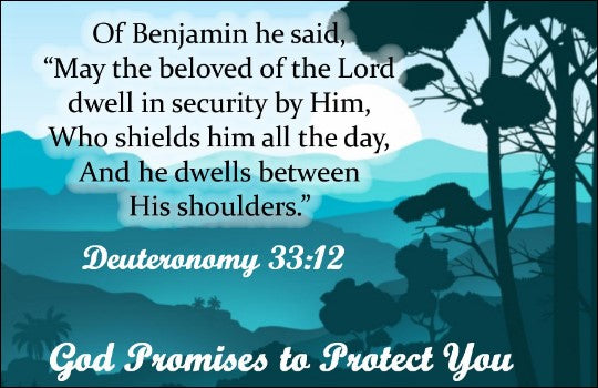 PROTECTION PROMISE-2-FAMILY AND CHILDREN'S PROTECTION
