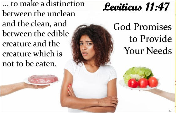 PROVISION PROMISE-4-BE A CHEERFUL GIVER - AN OFFERING TO GOD