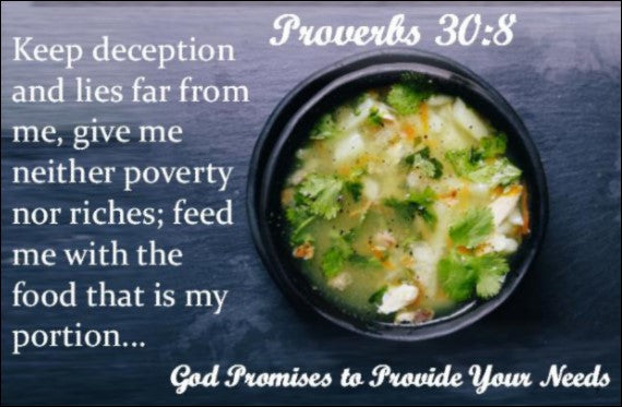 PROVISION PROMISE-5-PROVIDE YOU LIFE'S COMPANION - FAMILY & FRIENDS