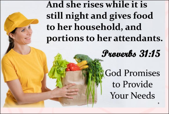 PROVISION PROMISE-5-PROVIDE YOU LIFE'S COMPANION - FAMILY & FRIENDS
