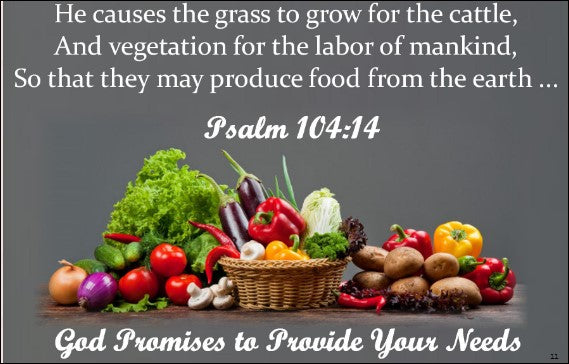 PROVISION PROMISE-5-PROVIDE YOU LIFE'S COMPANION - FAMILY & FRIENDS